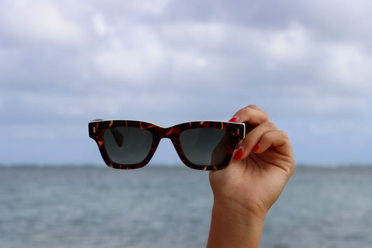 Paul Sunglasses